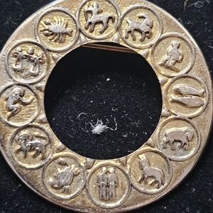 Zodiac Gold Brooch